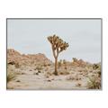 Picture of Dessert Tree _GroupedProduct_Rectangle_Landscape_Photography _GroupedProduct_Rectangle_Landscape_Canvas_Framed_