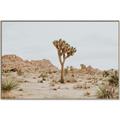 Picture of Dessert Tree _GroupedProduct_Rectangle_Landscape_Photography _GroupedProduct_Rectangle_Landscape_Canvas_Framed_