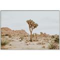 Picture of Dessert Tree _GroupedProduct_Rectangle_Landscape_Photography _GroupedProduct_Rectangle_Landscape_Canvas_Framed_