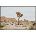 Picture of Dessert Tree _GroupedProduct_Rectangle_Landscape_Photography _GroupedProduct_Rectangle_Landscape_Canvas_Framed_