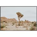 Picture of Dessert Tree _GroupedProduct_Rectangle_Landscape_Photography _GroupedProduct_Rectangle_Landscape_Canvas_Framed_
