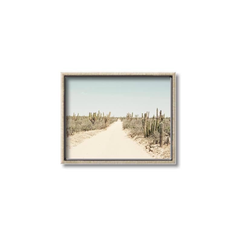 Picture of Cactus Row _GroupedProduct_Rectangle_Landscape_Photography _GroupedProduct_Rectangle_Landscape_Canvas_Framed_
