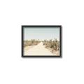 Picture of Cactus Row _GroupedProduct_Rectangle_Landscape_Photography _GroupedProduct_Rectangle_Landscape_Canvas_Framed_