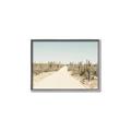 Picture of Cactus Row _GroupedProduct_Rectangle_Landscape_Photography _GroupedProduct_Rectangle_Landscape_Canvas_Framed_
