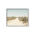 Picture of Cactus Row _GroupedProduct_Rectangle_Landscape_Photography _GroupedProduct_Rectangle_Landscape_Canvas_Framed_