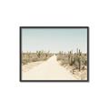 Picture of Cactus Row _GroupedProduct_Rectangle_Landscape_Photography _GroupedProduct_Rectangle_Landscape_Canvas_Framed_