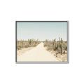 Picture of Cactus Row _GroupedProduct_Rectangle_Landscape_Photography _GroupedProduct_Rectangle_Landscape_Canvas_Framed_