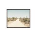 Picture of Cactus Row _GroupedProduct_Rectangle_Landscape_Photography _GroupedProduct_Rectangle_Landscape_Canvas_Framed_