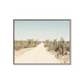 Picture of Cactus Row _GroupedProduct_Rectangle_Landscape_Photography _GroupedProduct_Rectangle_Landscape_Canvas_Framed_