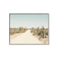 Picture of Cactus Row _GroupedProduct_Rectangle_Landscape_Photography _GroupedProduct_Rectangle_Landscape_Canvas_Framed_