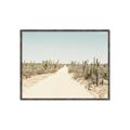 Picture of Cactus Row _GroupedProduct_Rectangle_Landscape_Photography _GroupedProduct_Rectangle_Landscape_Canvas_Framed_
