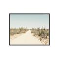 Picture of Cactus Row _GroupedProduct_Rectangle_Landscape_Photography _GroupedProduct_Rectangle_Landscape_Canvas_Framed_