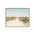Picture of Cactus Row _GroupedProduct_Rectangle_Landscape_Photography _GroupedProduct_Rectangle_Landscape_Canvas_Framed_