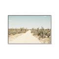 Picture of Cactus Row _GroupedProduct_Rectangle_Landscape_Photography _GroupedProduct_Rectangle_Landscape_Canvas_Framed_