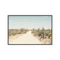 Picture of Cactus Row _GroupedProduct_Rectangle_Landscape_Photography _GroupedProduct_Rectangle_Landscape_Canvas_Framed_