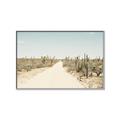 Picture of Cactus Row _GroupedProduct_Rectangle_Landscape_Photography _GroupedProduct_Rectangle_Landscape_Canvas_Framed_
