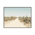 Picture of Cactus Row _GroupedProduct_Rectangle_Landscape_Photography _GroupedProduct_Rectangle_Landscape_Canvas_Framed_