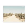 Picture of Cactus Row _GroupedProduct_Rectangle_Landscape_Photography _GroupedProduct_Rectangle_Landscape_Canvas_Framed_