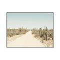 Picture of Cactus Row _GroupedProduct_Rectangle_Landscape_Photography _GroupedProduct_Rectangle_Landscape_Canvas_Framed_