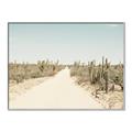 Picture of Cactus Row _GroupedProduct_Rectangle_Landscape_Photography _GroupedProduct_Rectangle_Landscape_Canvas_Framed_