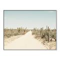 Picture of Cactus Row _GroupedProduct_Rectangle_Landscape_Photography _GroupedProduct_Rectangle_Landscape_Canvas_Framed_