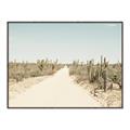 Picture of Cactus Row _GroupedProduct_Rectangle_Landscape_Photography _GroupedProduct_Rectangle_Landscape_Canvas_Framed_