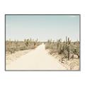 Picture of Cactus Row _GroupedProduct_Rectangle_Landscape_Photography _GroupedProduct_Rectangle_Landscape_Canvas_Framed_