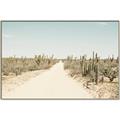 Picture of Cactus Row _GroupedProduct_Rectangle_Landscape_Photography _GroupedProduct_Rectangle_Landscape_Canvas_Framed_