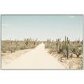 Picture of Cactus Row _GroupedProduct_Rectangle_Landscape_Photography _GroupedProduct_Rectangle_Landscape_Canvas_Framed_