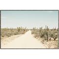 Picture of Cactus Row _GroupedProduct_Rectangle_Landscape_Photography _GroupedProduct_Rectangle_Landscape_Canvas_Framed_