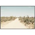 Picture of Cactus Row _GroupedProduct_Rectangle_Landscape_Photography _GroupedProduct_Rectangle_Landscape_Canvas_Framed_