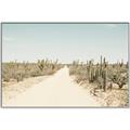 Picture of Cactus Row _GroupedProduct_Rectangle_Landscape_Photography _GroupedProduct_Rectangle_Landscape_Canvas_Framed_