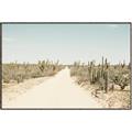 Picture of Cactus Row _GroupedProduct_Rectangle_Landscape_Photography _GroupedProduct_Rectangle_Landscape_Canvas_Framed_