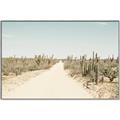 Picture of Cactus Row _GroupedProduct_Rectangle_Landscape_Photography _GroupedProduct_Rectangle_Landscape_Canvas_Framed_