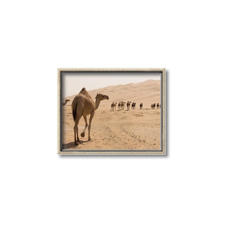 Picture of Camel Walk _GroupedProduct_Rectangle_Landscape_Photography _GroupedProduct_Rectangle_Landscape_Canvas_Framed_