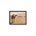 Picture of Camel Walk _GroupedProduct_Rectangle_Landscape_Photography _GroupedProduct_Rectangle_Landscape_Canvas_Framed_