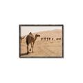 Picture of Camel Walk _GroupedProduct_Rectangle_Landscape_Photography _GroupedProduct_Rectangle_Landscape_Canvas_Framed_