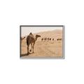 Picture of Camel Walk _GroupedProduct_Rectangle_Landscape_Photography _GroupedProduct_Rectangle_Landscape_Canvas_Framed_