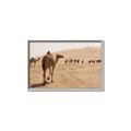 Picture of Camel Walk _GroupedProduct_Rectangle_Landscape_Photography _GroupedProduct_Rectangle_Landscape_Canvas_Framed_
