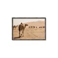 Picture of Camel Walk _GroupedProduct_Rectangle_Landscape_Photography _GroupedProduct_Rectangle_Landscape_Canvas_Framed_