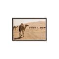 Picture of Camel Walk _GroupedProduct_Rectangle_Landscape_Photography _GroupedProduct_Rectangle_Landscape_Canvas_Framed_
