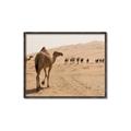 Picture of Camel Walk _GroupedProduct_Rectangle_Landscape_Photography _GroupedProduct_Rectangle_Landscape_Canvas_Framed_