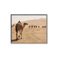 Picture of Camel Walk _GroupedProduct_Rectangle_Landscape_Photography _GroupedProduct_Rectangle_Landscape_Canvas_Framed_
