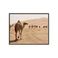 Picture of Camel Walk _GroupedProduct_Rectangle_Landscape_Photography _GroupedProduct_Rectangle_Landscape_Canvas_Framed_