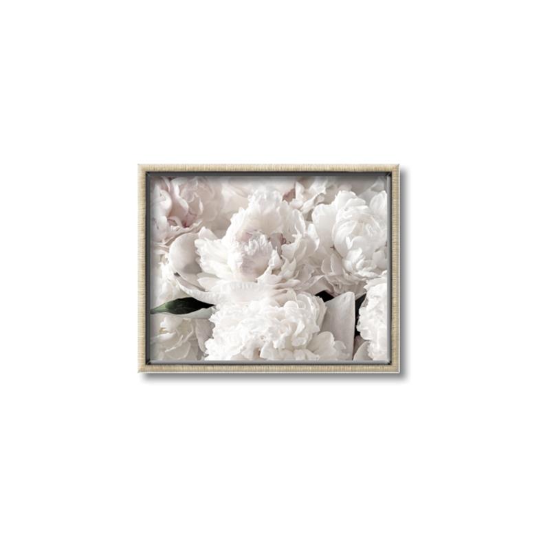 Picture of Fluffy Florals _GroupedProduct_Rectangle_Landscape_Photography _GroupedProduct_Rectangle_Landscape_Canvas_Framed_