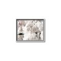 Picture of Fluffy Florals _GroupedProduct_Rectangle_Landscape_Photography _GroupedProduct_Rectangle_Landscape_Canvas_Framed_