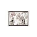 Picture of Fluffy Florals _GroupedProduct_Rectangle_Landscape_Photography _GroupedProduct_Rectangle_Landscape_Canvas_Framed_