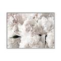 Picture of Fluffy Florals _GroupedProduct_Rectangle_Landscape_Photography _GroupedProduct_Rectangle_Landscape_Canvas_Framed_