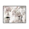 Picture of Fluffy Florals _GroupedProduct_Rectangle_Landscape_Photography _GroupedProduct_Rectangle_Landscape_Canvas_Framed_