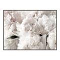 Picture of Fluffy Florals _GroupedProduct_Rectangle_Landscape_Photography _GroupedProduct_Rectangle_Landscape_Canvas_Framed_